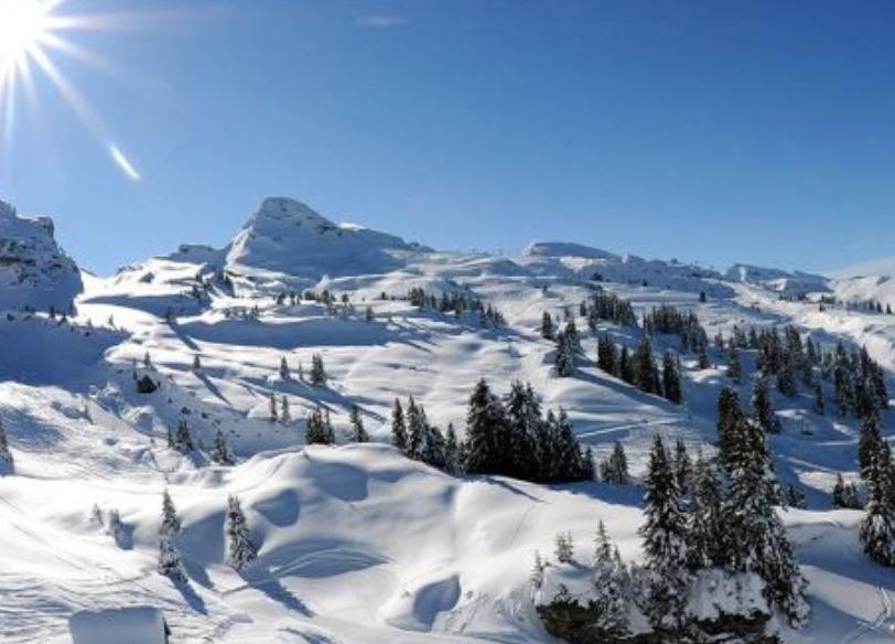 Location ski Châtel | La qualité à prix bas