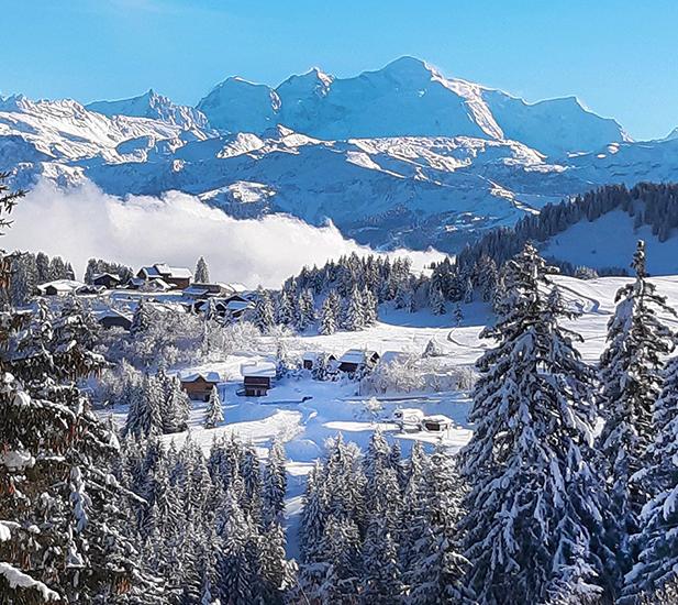 Location ski Praz de Lys